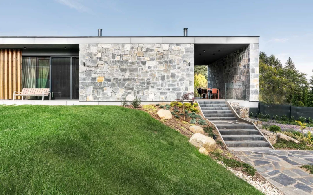 D HOUSE